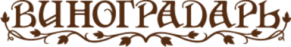 Логотип Виноградарь